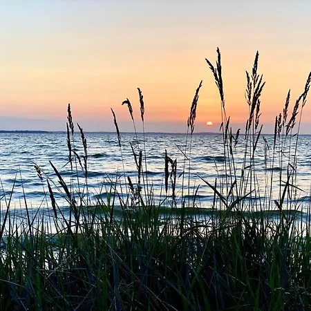 Haffside Usedom Holiday home