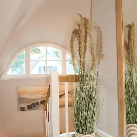 Haffside Usedom Holiday home