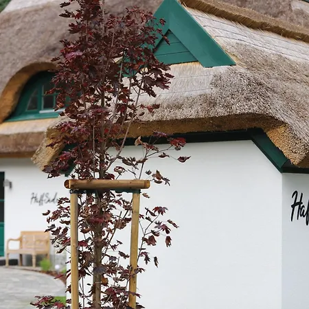 Haffside Usedom Zirchow